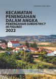 Kecamatan Penengahan Dalam Angka 2022