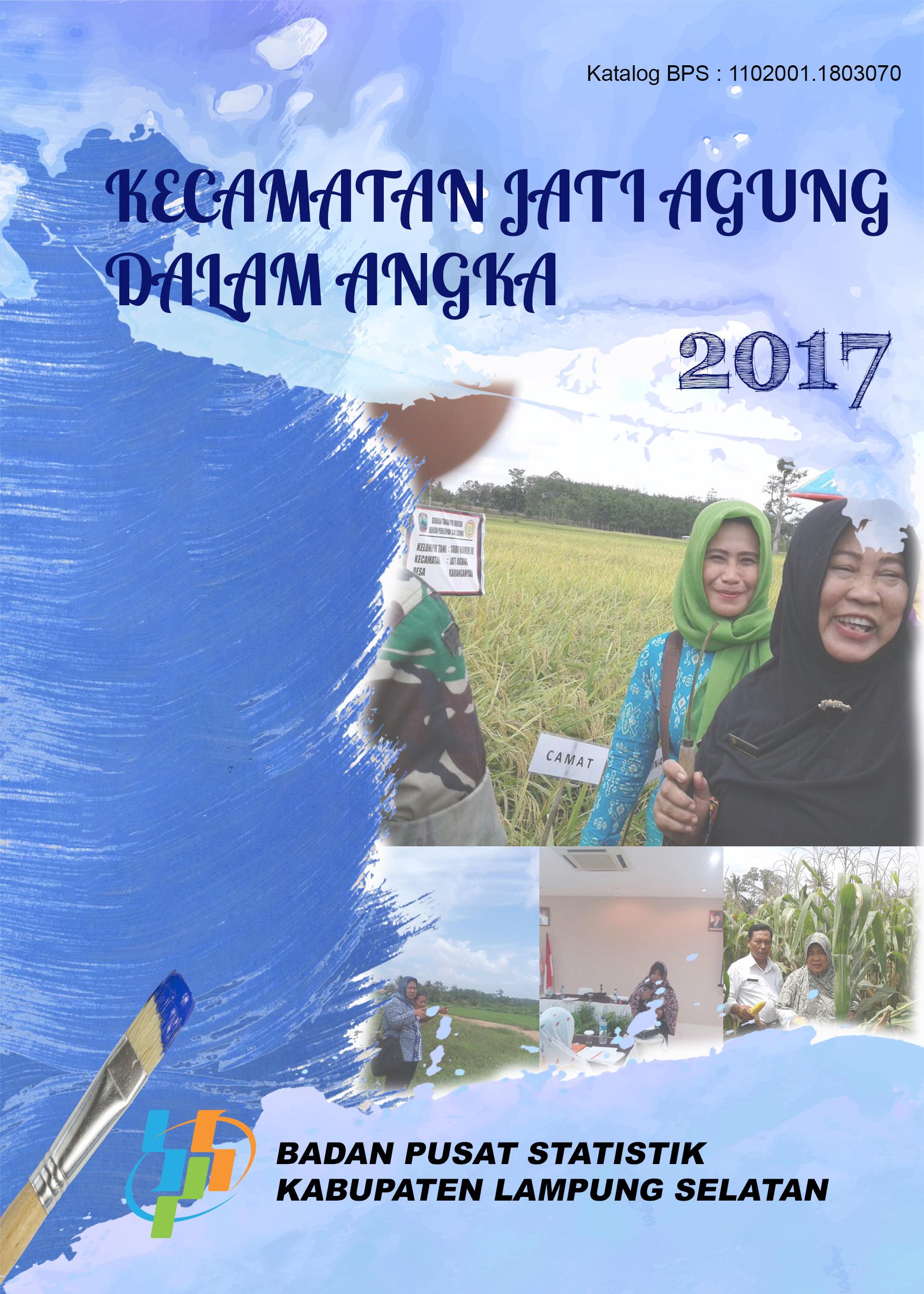 Jati Agung Subdistrict in Figures 2017