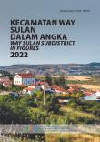 Kecamatan Way Sulan Dalam Angka 2022