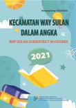 Kecamatan Way Sulan Dalam Angka 2021